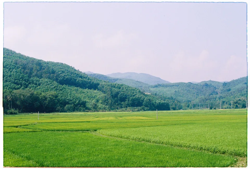 Kho gạo của Đoàn Thăng Long